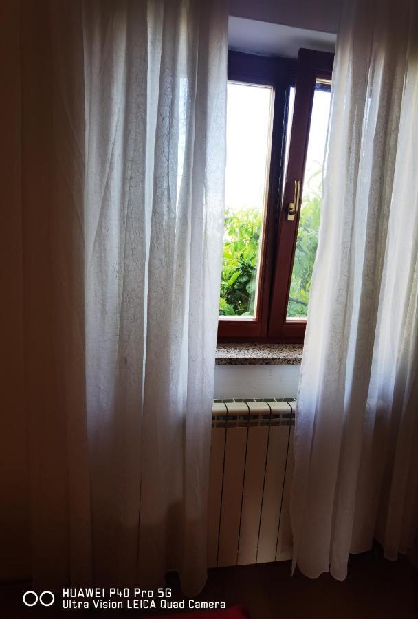 Apartment Barbara Bibinje