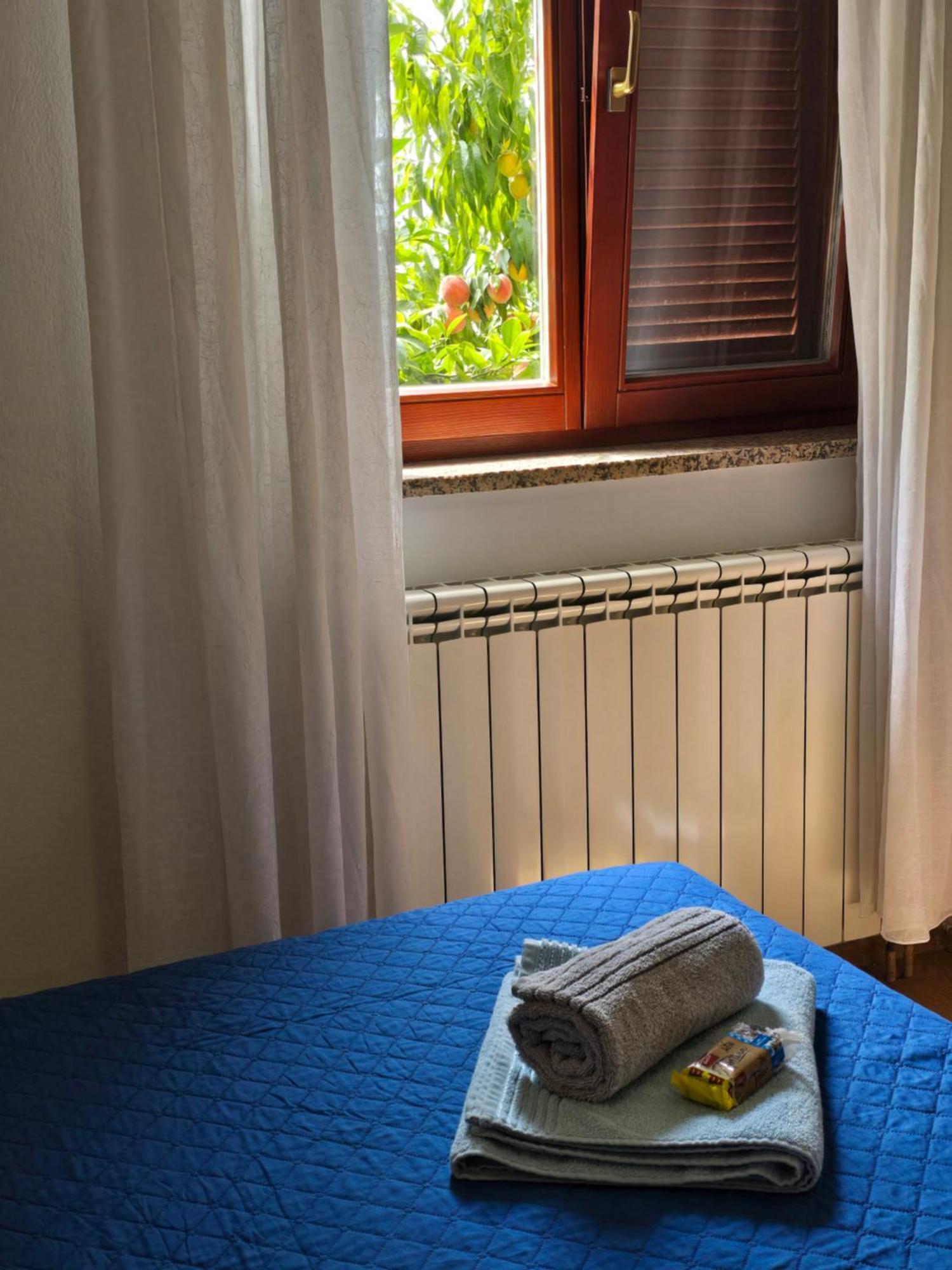 Barbara Apartment Bibinje